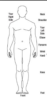 body outline with text